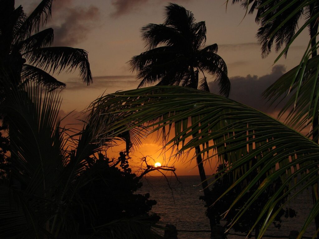 découvrez les merveilles des caraïbes : plages paradisiaques, cultures vibrantes et aventures inoubliables. plongez dans un monde de beauté naturelle et de traditions uniques, et laissez-vous séduire par l'ambiance envoûtante de cette région ensoleillée.