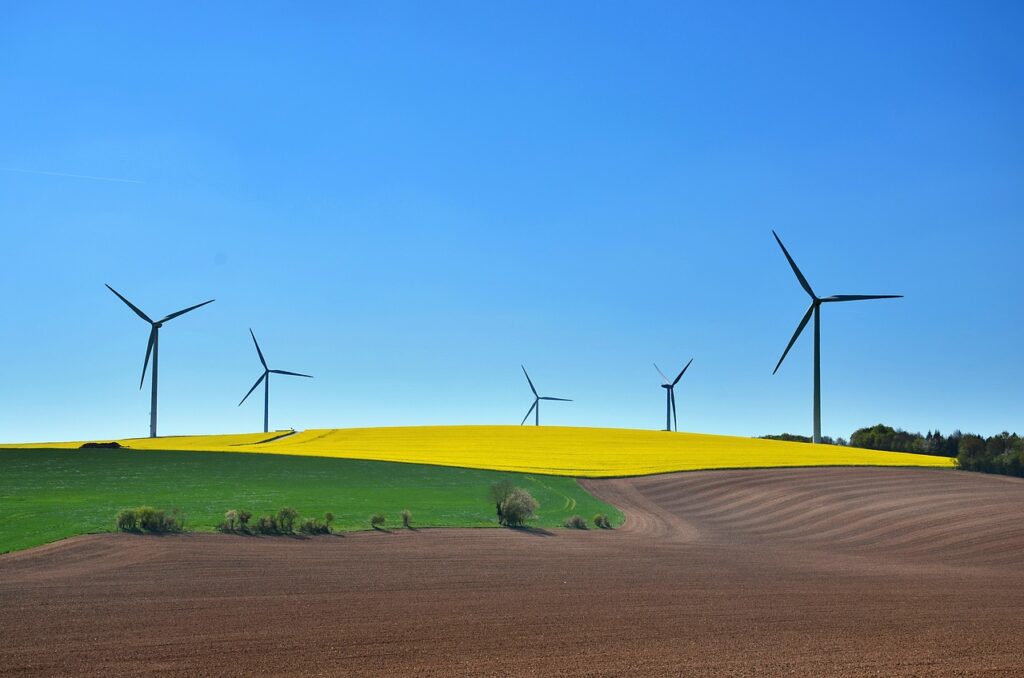 découvrez l'importance du développement durable : un équilibre entre la croissance économique, la protection de l'environnement et le bien-être social pour un avenir meilleur. engagez-vous pour un monde plus durable dès aujourd'hui.