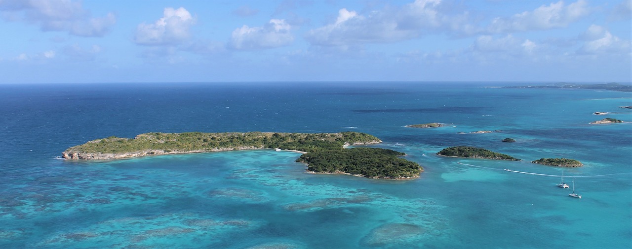 À la découverte de lécotourisme en Guadeloupe : entrevue avec un guide inspirant
