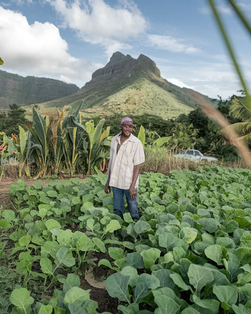 Innovation verte — Eco Antilles