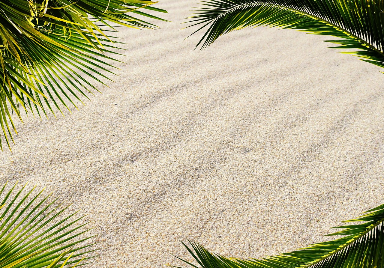 Pourquoi protéger les zones humides des antilles est essentiel pour lécosystème