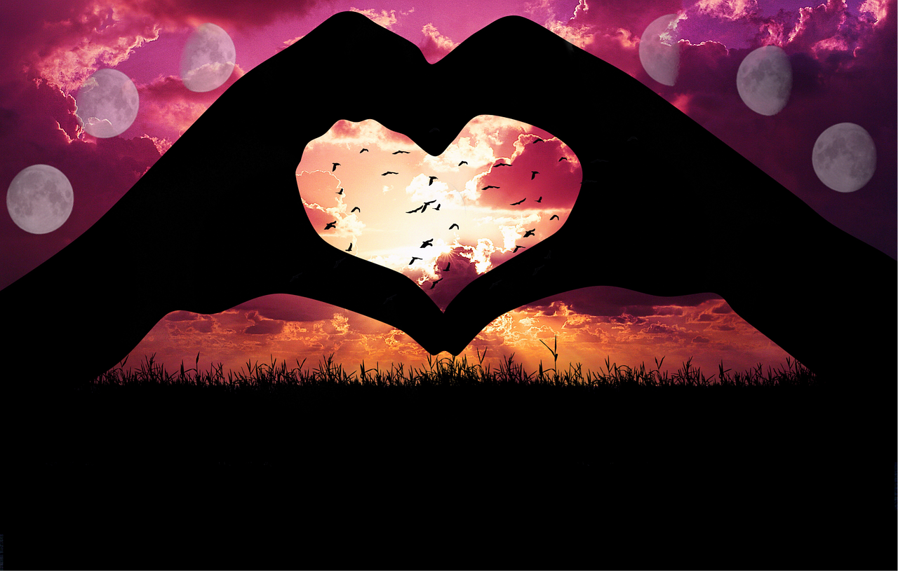 découvrez l'univers fascinant des arts visuels, explorant la créativité à travers la peinture, la sculpture, la photographie et d'autres formes d'expression artistique. immersez-vous dans l'esthétique et l'émotion des œuvres qui captivent l'imagination.