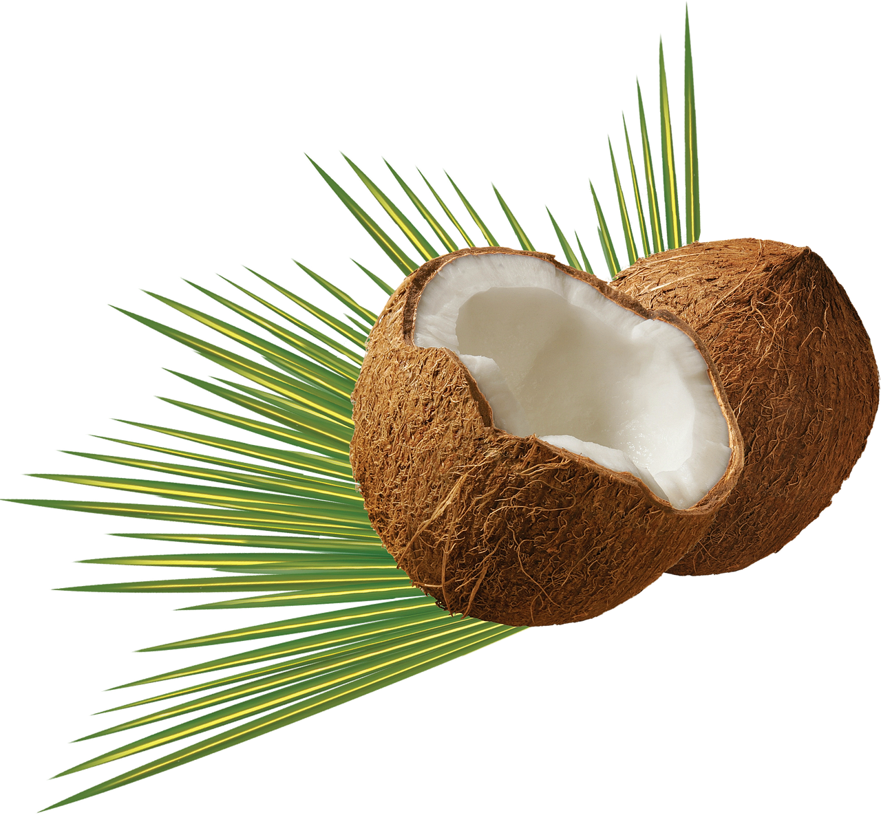 découvrez les paysages enchanteurs des caraïbes, une destination de rêve alliant plages de sable blanc, eaux cristallines et une riche culture vibrante. partez à l'aventure dans cet archipel où l'hospitalité des îles croise des traditions colorées et une cuisine exquise.