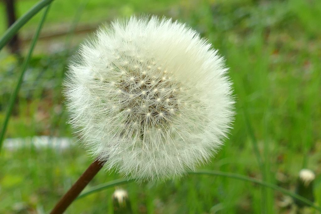 découvrez notre service de distribution gratuite, qui vous permet d'accéder à une variété de produits et ressources sans frais. profitez d'offres exclusives et d'avantages uniques tout en soutenant votre communauté.