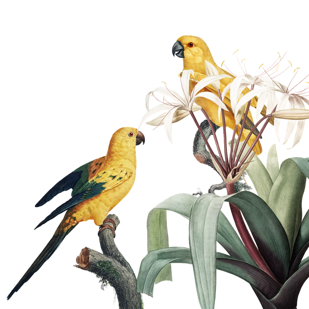 découvrez l'art de la peinture naturelle, une technique qui valorise les pigments et matériaux écologiques pour créer des œuvres uniques et respectueuses de l'environnement. explorez les méthodes, inspirations et bienfaits de cette approche artistique.